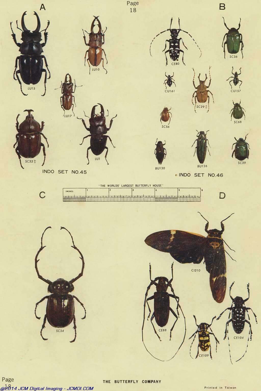 The Butterfly Company (NY) 18 page catalog 1976